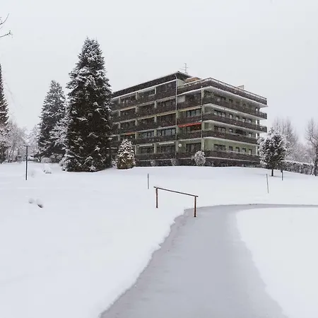 Mooki Bodensdorf